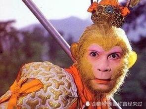 孙悟空吃瓜子,猴王孙悟空的瓜子奇缘